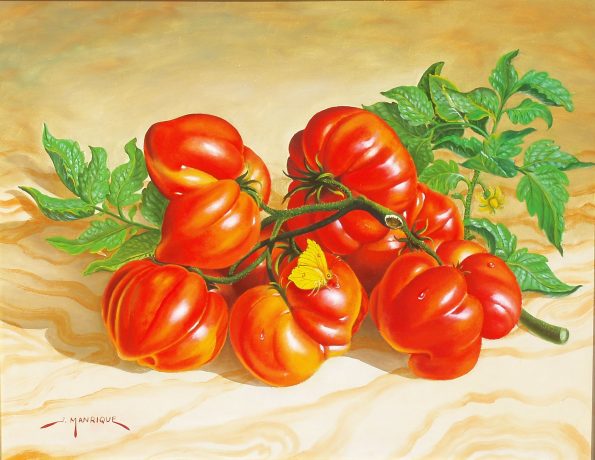 Tomates con mariposa