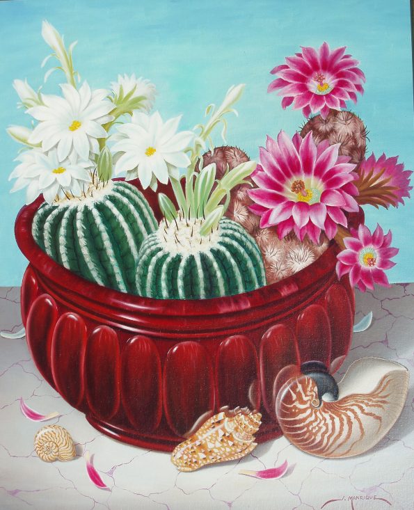 Chambered Nautili y cactus