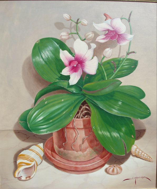 Orquídeas con erizo de mar