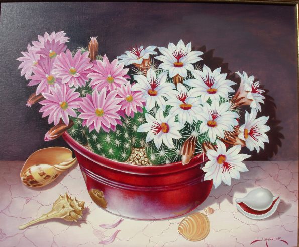 Cactus con caracolas