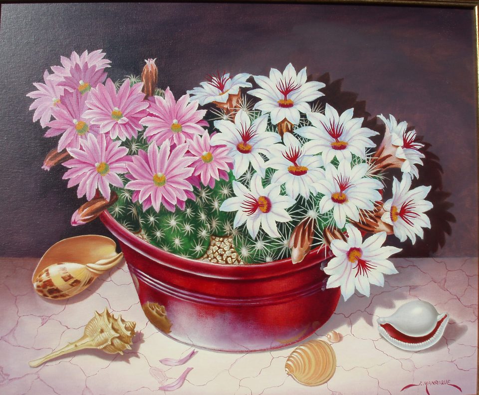 Cactus con caracolas