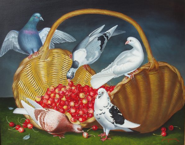 Palomas comiendo cerezas