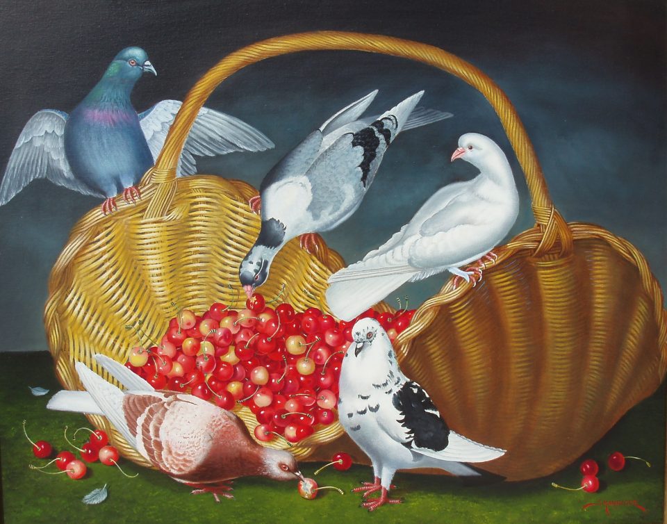 Palomas comiendo cerezas