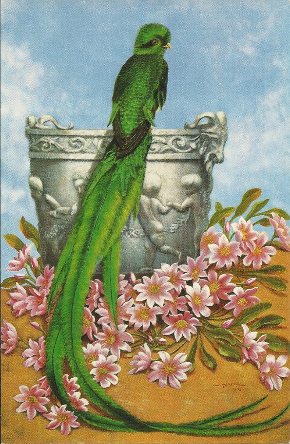 Quetzal